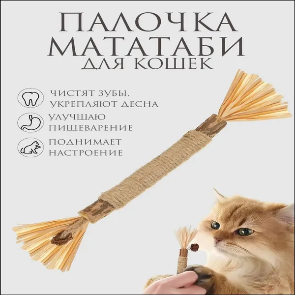 Эксклюзивный очиститель зубов для кошек, палочкадразнилка мататаби для котят, 1 штука