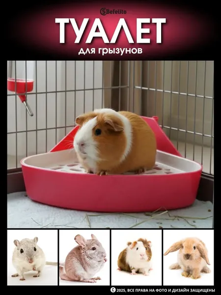 Угловой лоток для грызунов с решеткой и фиксацией к клетке, подходящий кроликам, хорькам, хомякам, шиншиллам, дегу и морским свинкам, представлен в качественном розовом исполнении.