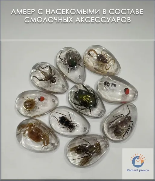 Коллекция насекомых