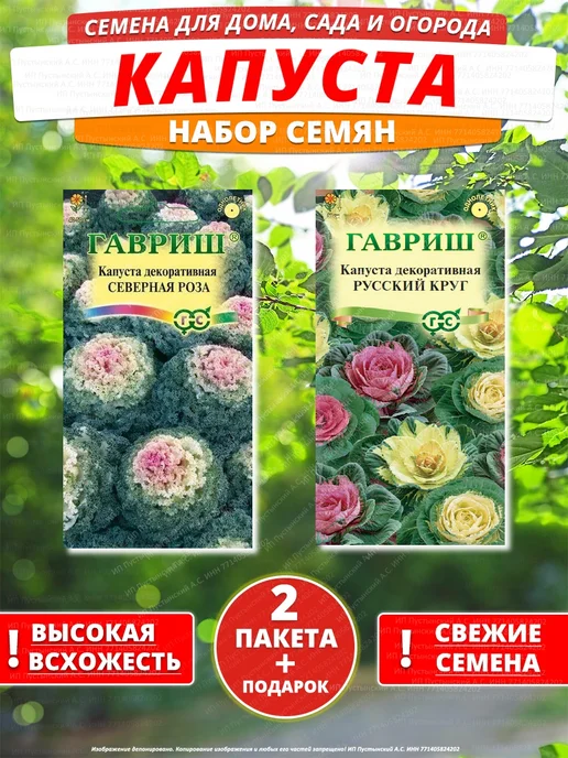 Семена капуста для дома сада посадки