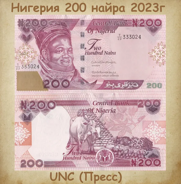 Банкнота Нигерия 200 найра 2023-2024гг., UNC