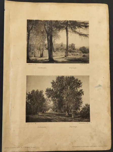 Антикварная фототипия К. А. Фишера. Аммон В.Ф. Пейзаж. 1889 год.