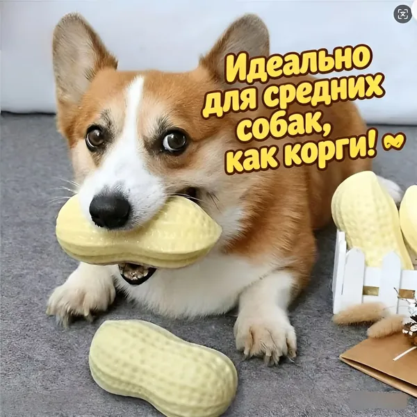 Игрушка для собак: Устойчивая к жеванию пищащая игрушка для собак среднего размера (Корги/)