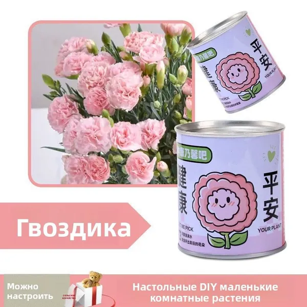 Легко открывающиеся банки для учеников начальной школы, подарки ко Дню защиты детей для всего класса, креативные призы, коробки-сюрпризы с растениями, горшки для растений в детском саду.