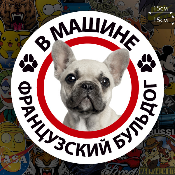 Наклейка Собака в машине / французский бульдог