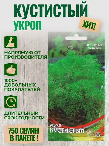 Укроп КУСТИСТЫЙ, суперароматный и мегаурожайный, 750 семян