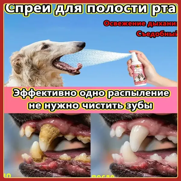 Спрей для полости рта для кошек и собак, 30 мл. Нежная антибактериальная обработка, свежее дыхание, удаление зубного налета и зубного камня, съедобные ингредиенты, нет необходимости чистить зубы.