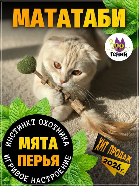 Жевательные палочки мататаби для кошек для чистки зубов игрушка для собак, кошек, котят и щенков (с перьями и мятным сердечком)