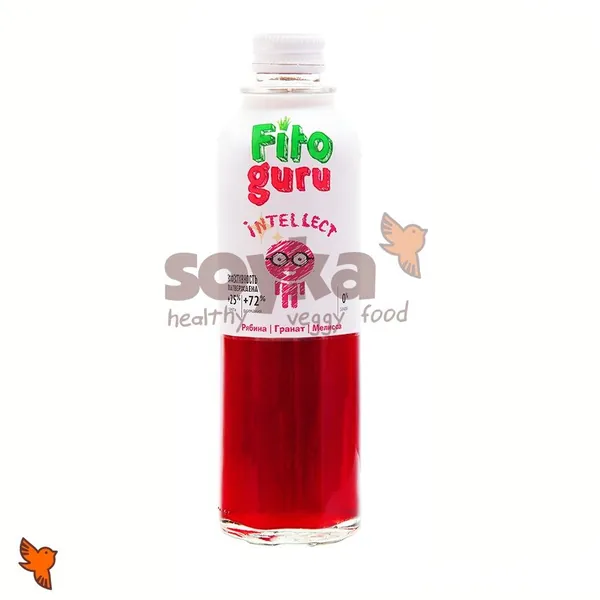 Напиток б/а со вкусом рябины граната и мелиссы Интеллект Fitoguru, 330мл