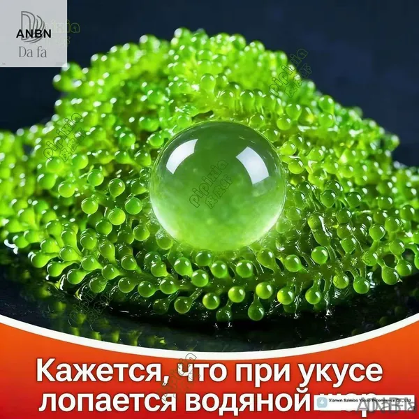 DaFa-ANBN-Морской виноград, зеленая икра 100r.