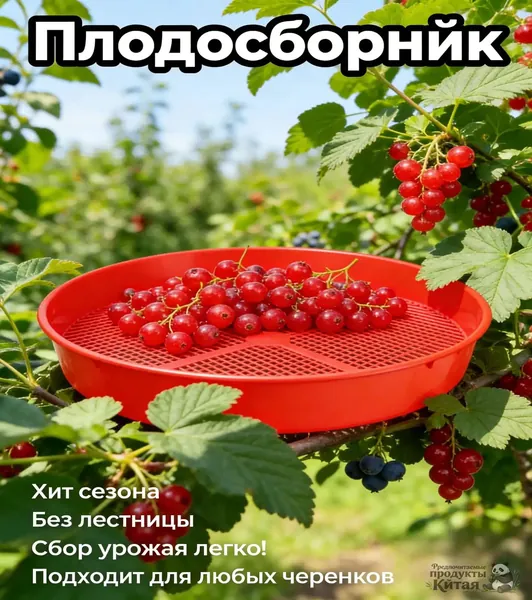 Плодосборник,36.3х36.3х8.1см