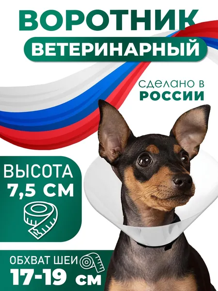 Защитный воротник ветеринарный для кошек и собак, высота 7,5 см