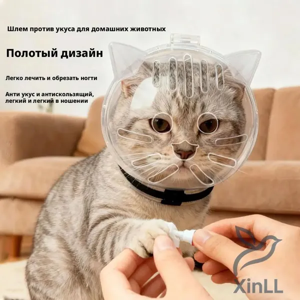Сферический послеоперационный колпак для кошек, применяемый как альтернатива классическому воротнику, предотвращающий вылизывание и укусы, считается качественным космическим аксессуаром.