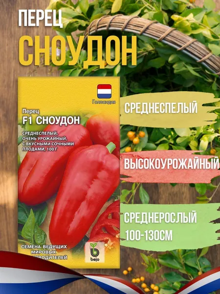 Семена перец сладкий , среднеранний , Голландский, Сноудон