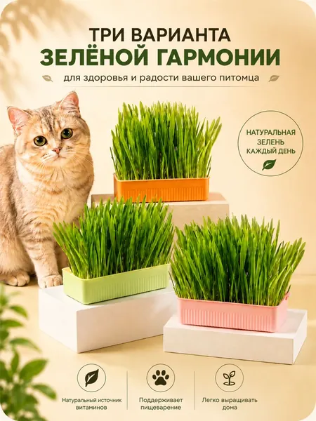 Полностью гидропонная кошачья трава и кошачья мята, бескорневая горшечная трава для выведения шерсти, семена, не готовое растение, удобный вариант для ленивых, лакомство для котят и взрослых кошек