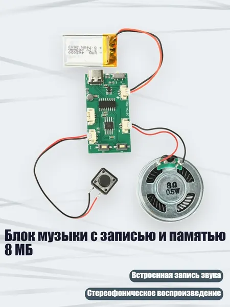 Блок музыки с записью и памятью 8 МБ