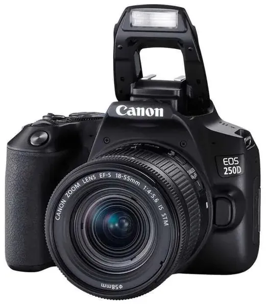 фотоаппарат Canon 250D kit EF-S 18-55mm is STM