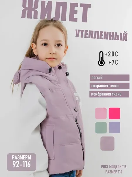 Утеплённая детская жилетка демисезонная с капюшоном