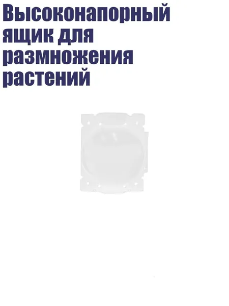 Таз 1 шт