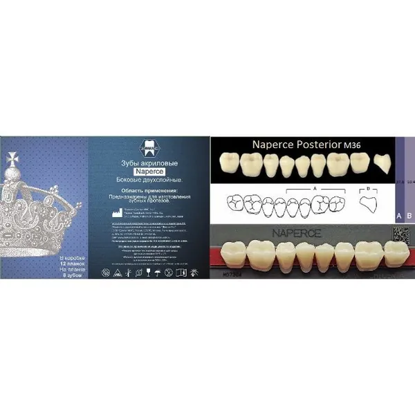 Зубы акриловые, вариант исполнения: Naperce двухслойные Posterior (боковые нижние) фасон M36, цвет A1,8 шт. на планке. Производитель: Yamahachi Dental MFG, Япония. 12 планок в коробке.