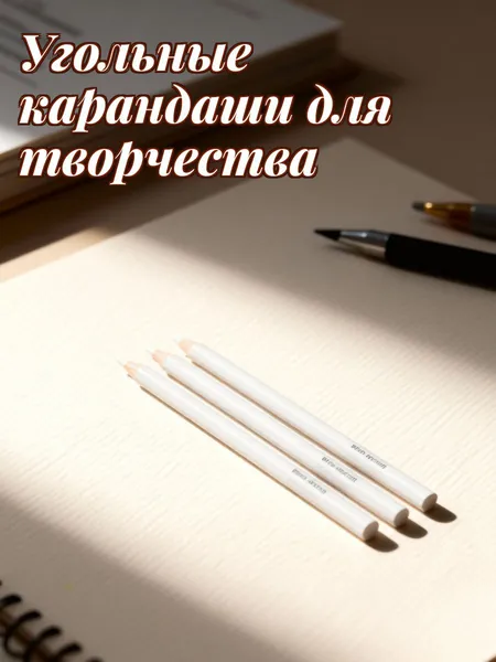 Белые угольные карандаши из древесины с графитовым стержнем для художественного рисования, 3 шт