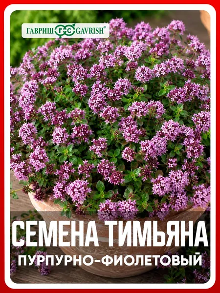 Семена Тимьян ползучий "Пурпурно-фиолетовый" Чабрец 0,03 гр, многолетние травянистые растения, пряные лекарственные травы, для дома, сада и огорода, в открытый грунт, в контейнер.