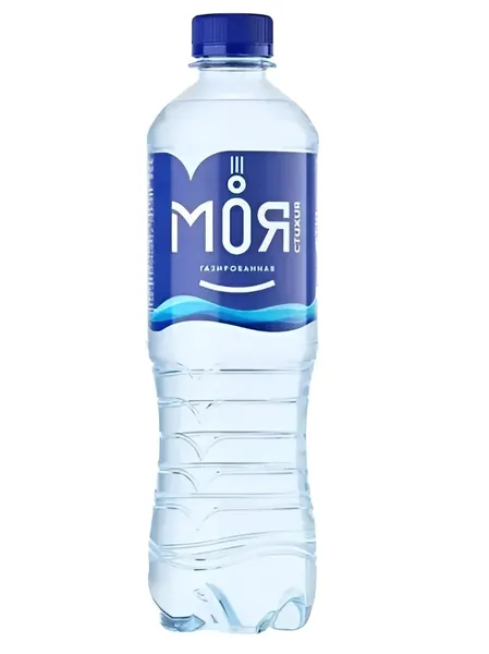 Вода 1 бутылка 0.5 питьевая газированная