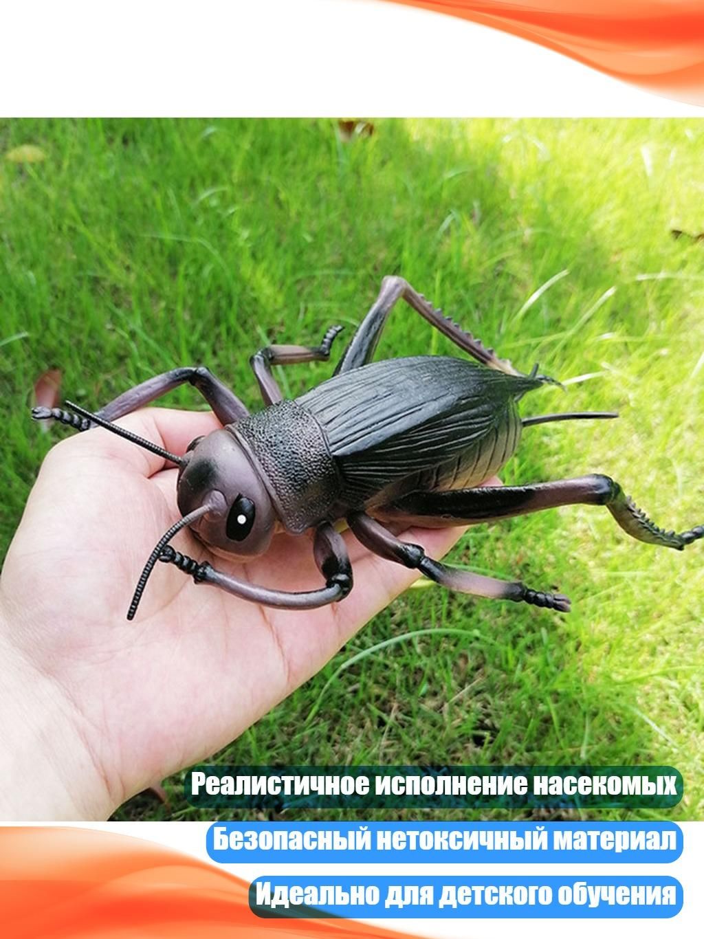Реалистичные модели дикой природы, сверчки, 09
