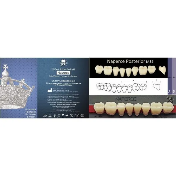 Зубы акриловые, вариант исполнения: Naperce двухслойные Posterior (боковые нижние) фасон M34, цвет C4,8 шт. на планке. Производитель: Yamahachi Dental MFG, Япония. 12 планок в коробке.