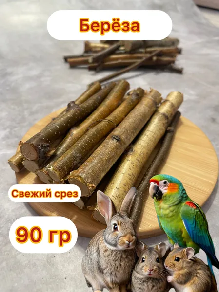Веточки для грызунов из веток березы, лакомство для грызунов, 90 гр