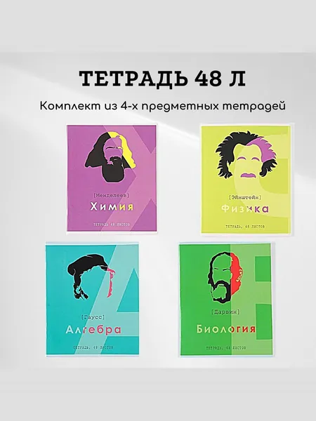 Комплект предметных тетрадей из 4-х штук