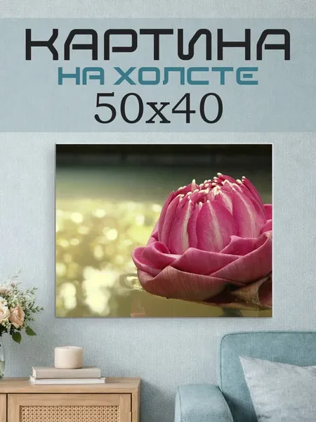 Картина на стену 50х40 Лотос