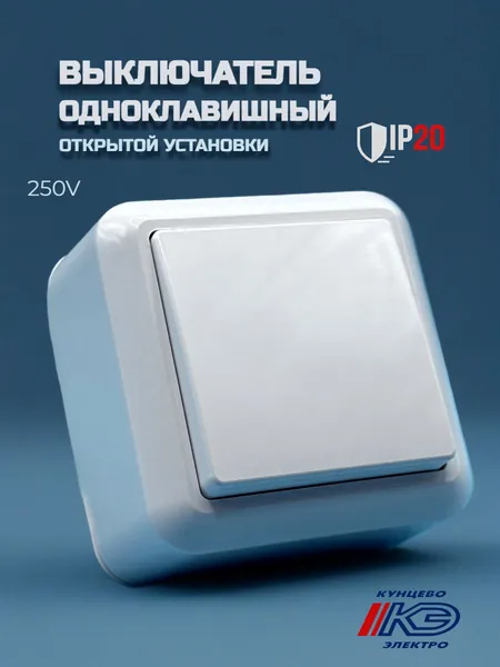 Выключатель одноклавишный, накладной, открытой установки, с монтажной пластиной, 10А белый, Кунцево