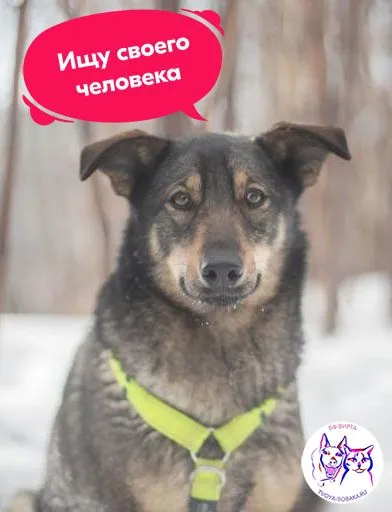 Помочь Блум найти дом