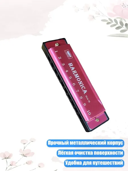 Профессиональная 10-дырочная гармоника с металлическим корпусом и гладкой отделкой из ABS для путешествий, 1