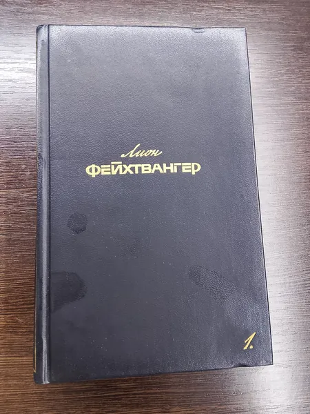 Собрание сочинений в шести томах. Том 1. Лион Фейхтвангер