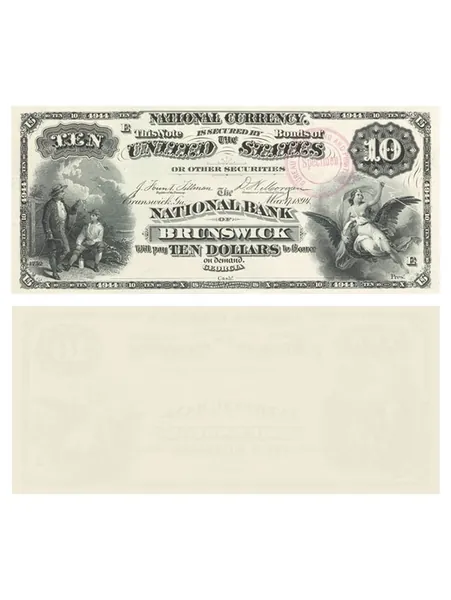 10 долларов 1894 Brunswick, Джорджия США, серия Е, копия