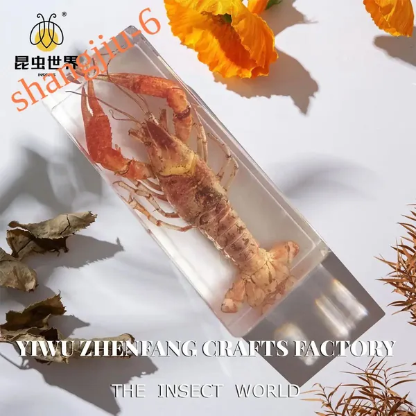 Крупный сувенир из акрила с настоящими насекомыми в высококачественной смоле,1,110*45