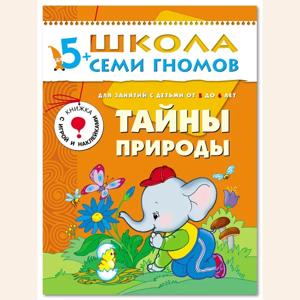 Развивающие книги для малышей 5+. Годовой курс занятий для развития и обучения детей. Детский обучающий комплект. Школа Семи Гномов. 1 книжка / Набор из 12 книг / Новый Базовый курс | Денисова Даша