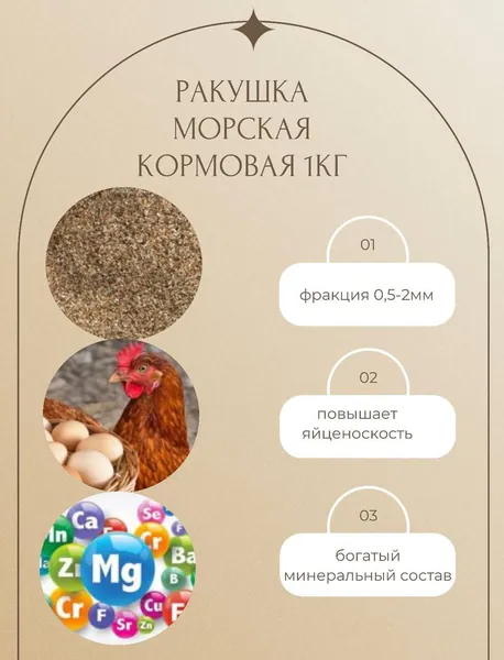 Ракушка морская кормовая птиц