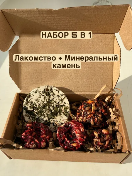 Лакомство для крыс, хомяков, мышей и шиншилл, набор 5 в 1, зерновое печенье с овощами, для грызунов и птиц, минеральный камень с одуванчиком и молодой крапивой, лакомство для грызунов