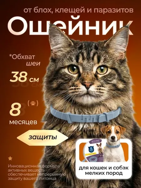 кошачий ошейник от блох и кл ещей, водостойкий, 8 месяцев защиты, гипоаллергенный, регулируемый 38 см, антипаразитарный, против вшей, домашняя профилактика кровососущих паразитов