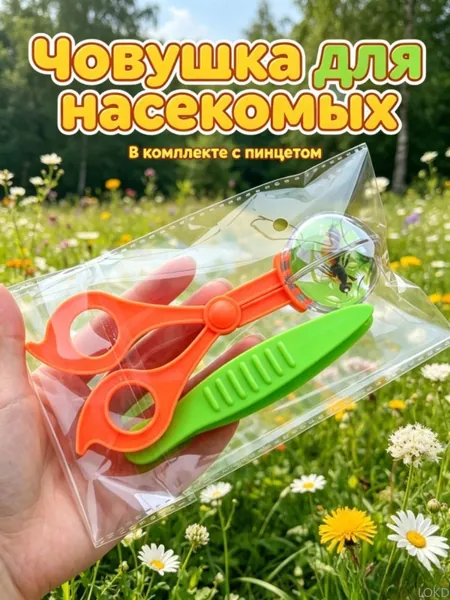 Набор для ловли насекомых, прозрачные пластиковые щипцы и ножницы, безопасный дизайн без острых краев, для изучения биологии и природы, развивающая игрушка для ребенка, 2 предмета