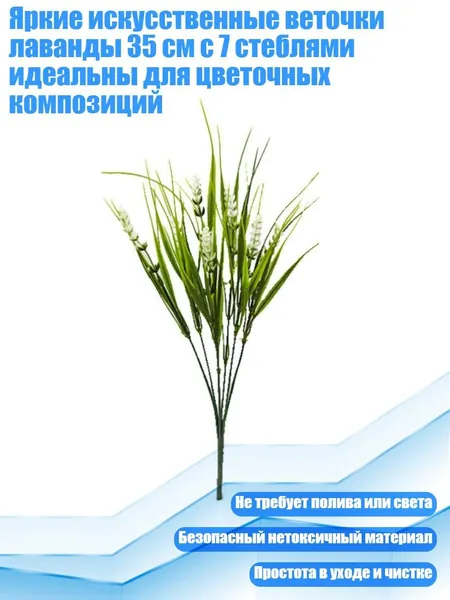 Стабилизированные цветы, 5 см, 50 гр, 1 шт