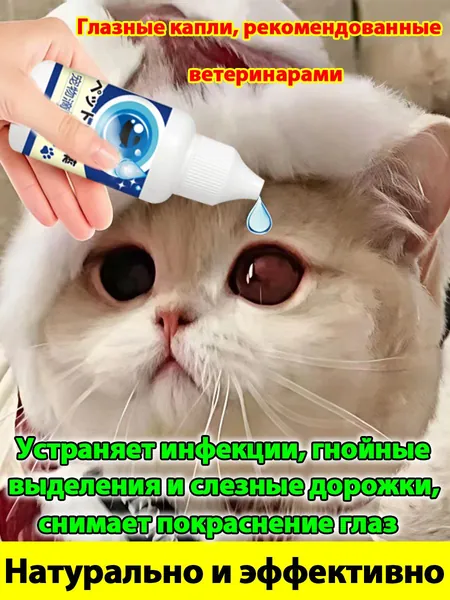 капли для глаз для кошек от инфекции