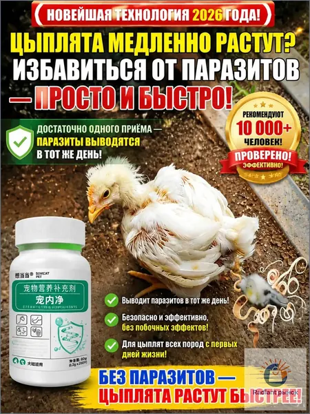 Средство от глистов для кур и уток, натуральный антигельминтик для домашней птицы, таблетированная форма, для контроля внутренних и внешних паразитов у несушек, гусей и индюков.