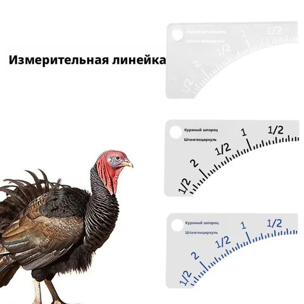 Линейка для измерения шпор индейки профессиональная охотничья