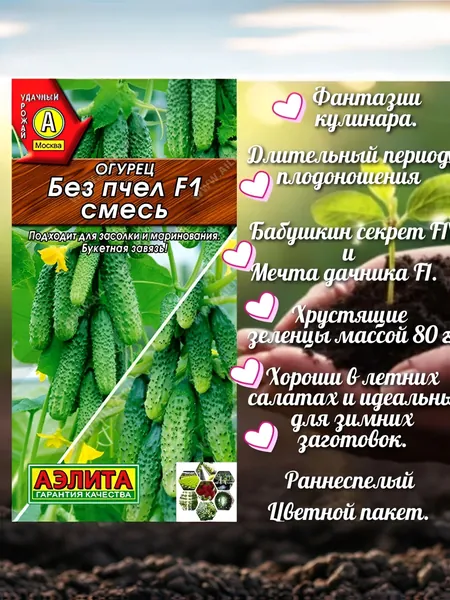 Аэлита Семена