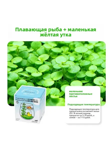 Гидропонная чашка