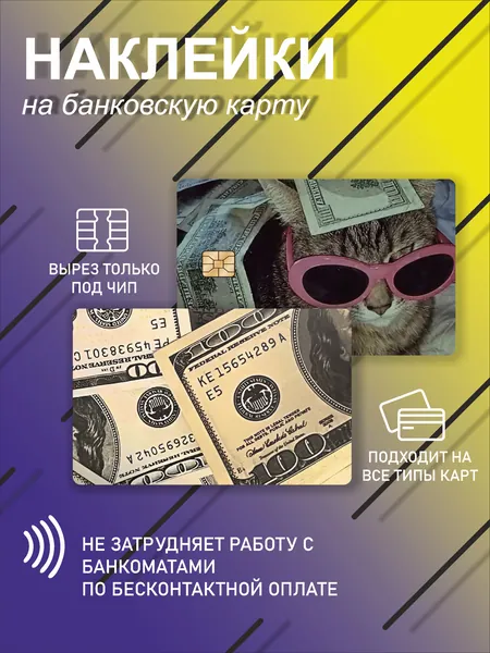 наклейка на банковскую карту или проездной с котом в очках с деньгами